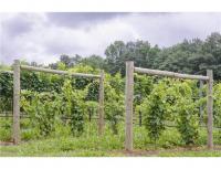 frezovana kulatina vino dřevoprodej Staša